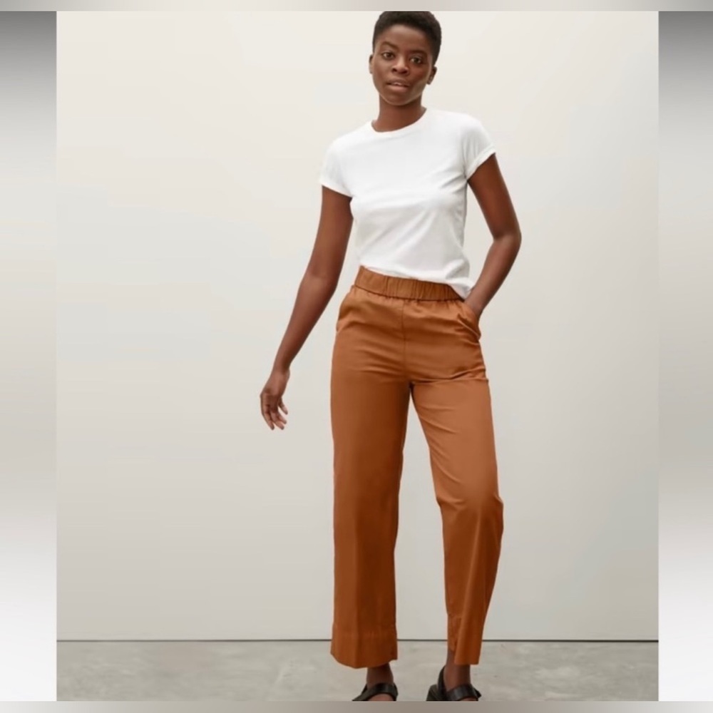 NWT Everlane The Easy Pants - Brown, 0